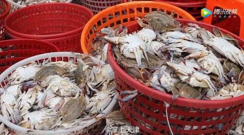 天津水产爆料事件最新,揭露海鲜市场惊人内幕，食品安全再引关注  第3张