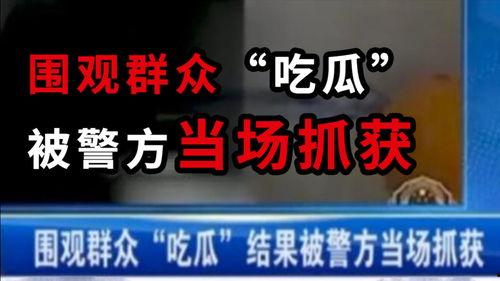 在线围观吃瓜后续小说免费阅读,揭秘网络小说背后的精彩故事  第2张